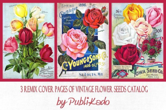 Vintage Seed Catalog: A Timeless Design Resource