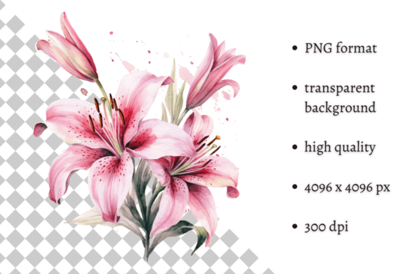 Watercolor Pink Tiger Lilies Clipart